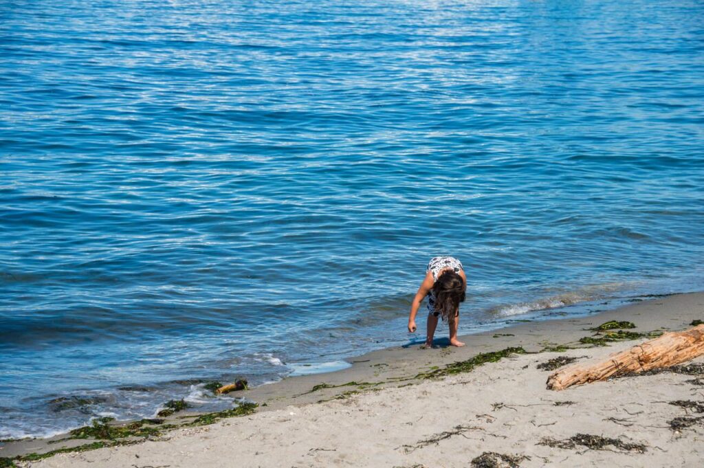 Beachcombing